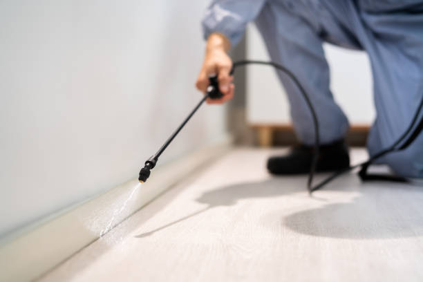 Licensed Mosquito Control service in Ashville, AL - Show Me Pest Control