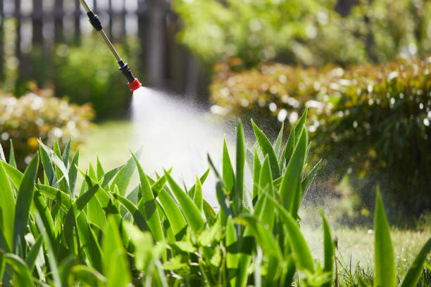 24/7 Emergency Mosquito Control experts in Ashville, AL