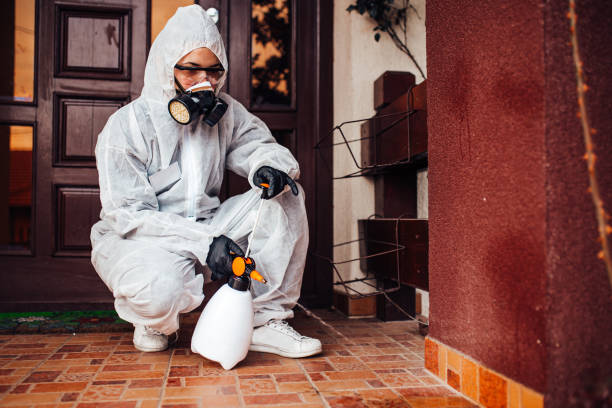 Reliable Mosquito Control contractor in Ashville, AL by Show Me Pest Control